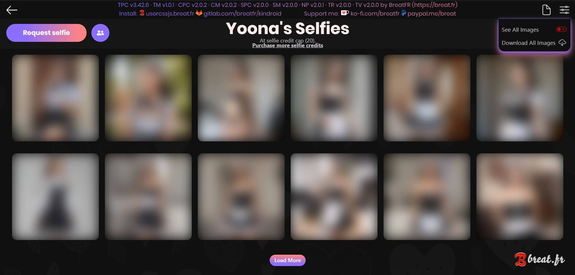 Aperçu des UserScripts et UserStyle pour le site Kindroid