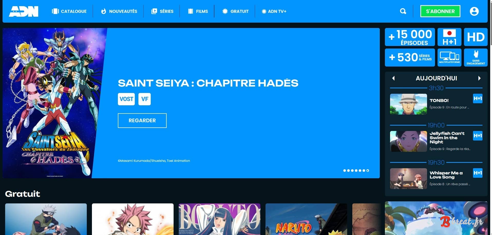 Aperçu du UserStyle pour le site ADN