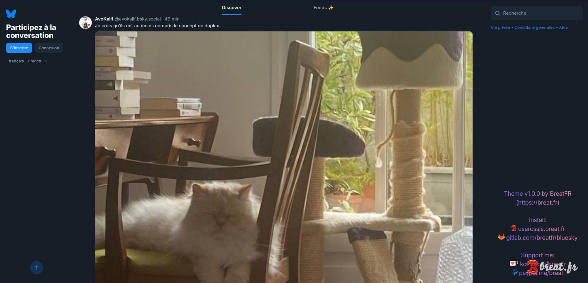 Preview of the UserStyle for the Bluesky website