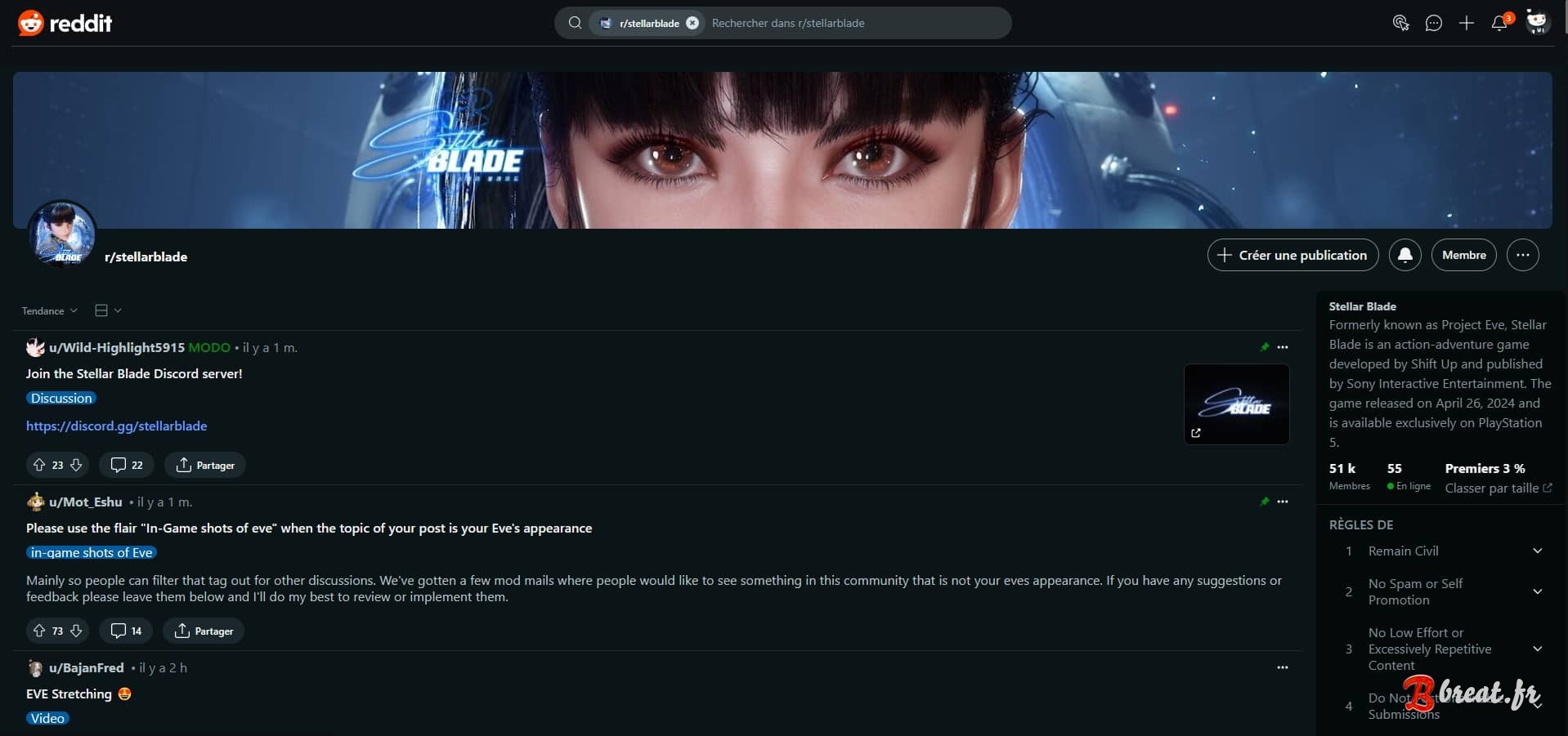 Aperçu du UserStyle pour le site Reddit