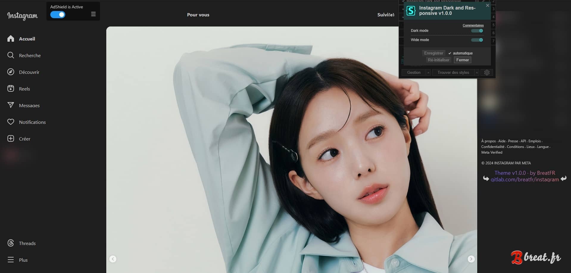 Aperçu du UserStyle pour le site instagram