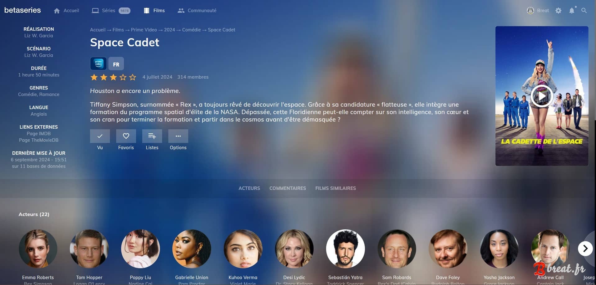 Preview of the UserStyle for the betaseries website